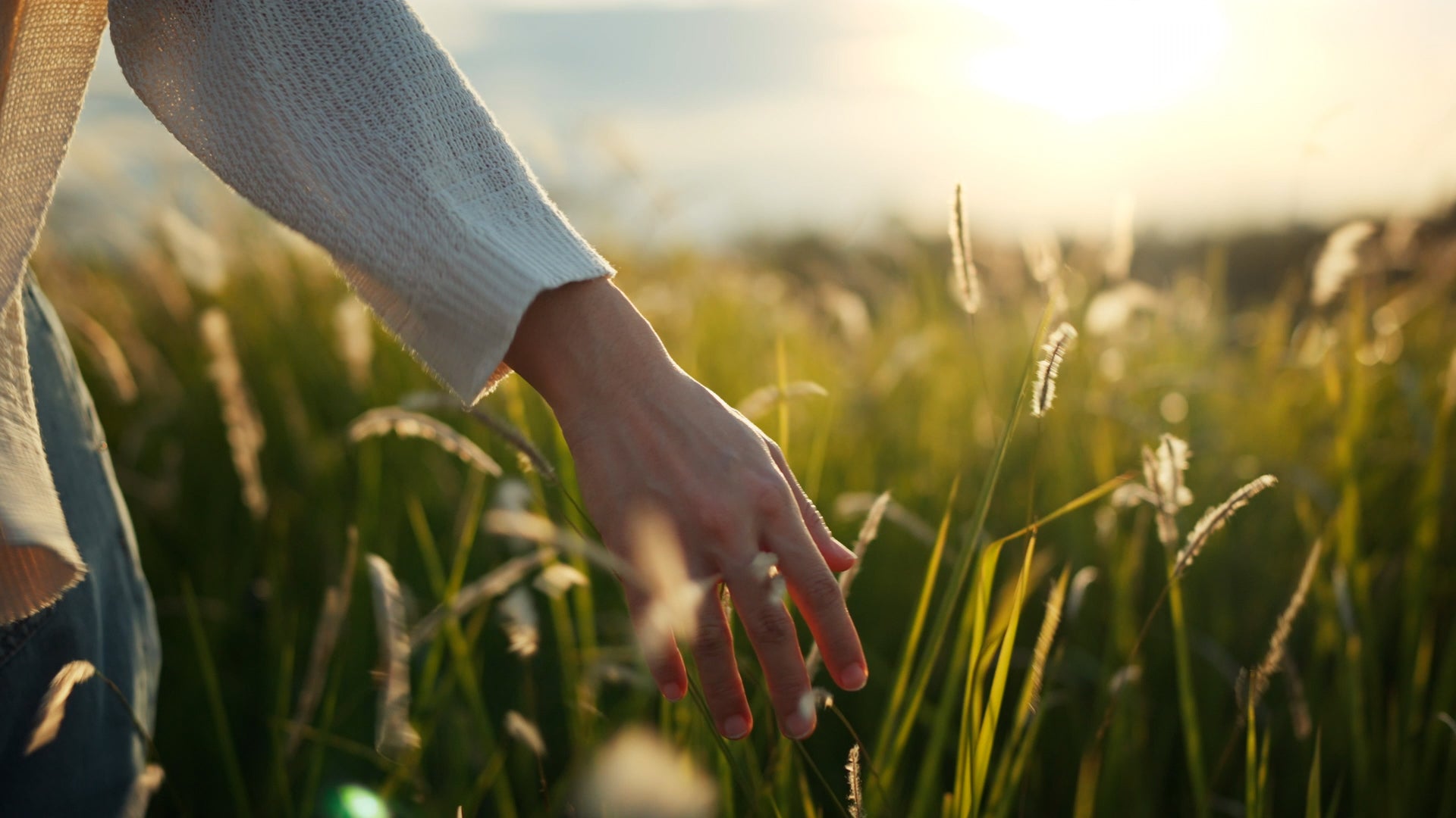 hand einer Frau im feld 