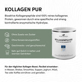 Kollagenpulver Bioaktive Kollagenpeptide