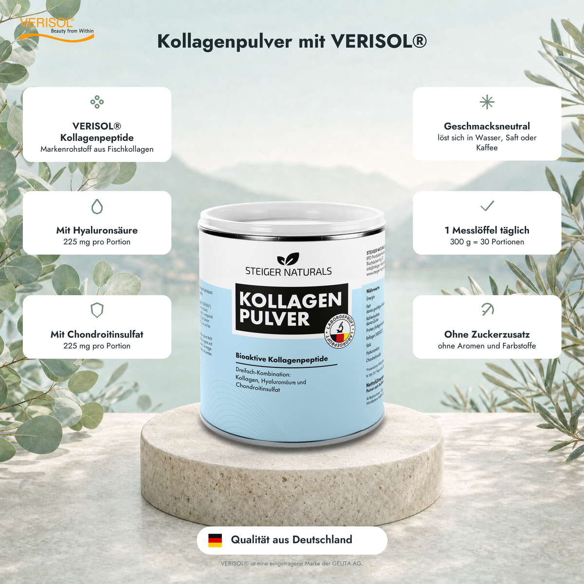Kollagenpulver Bioaktive Kollagenpeptide Verisol (Kollagenpeptide aus Fisch)
