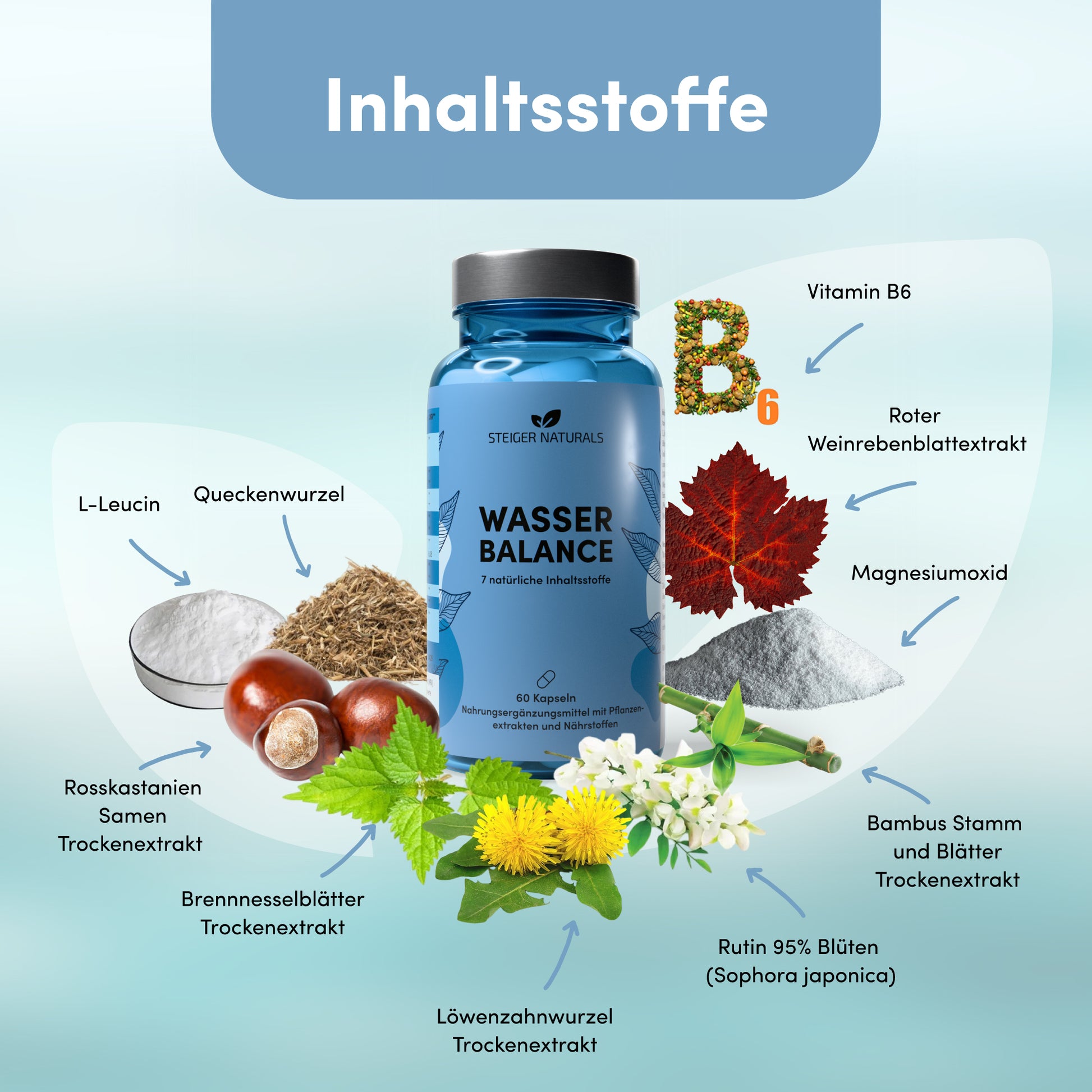 Wasser Balance - natürlicher Entwässerungs-Komplex