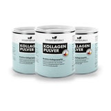 Kollagenpulver 3er-Set